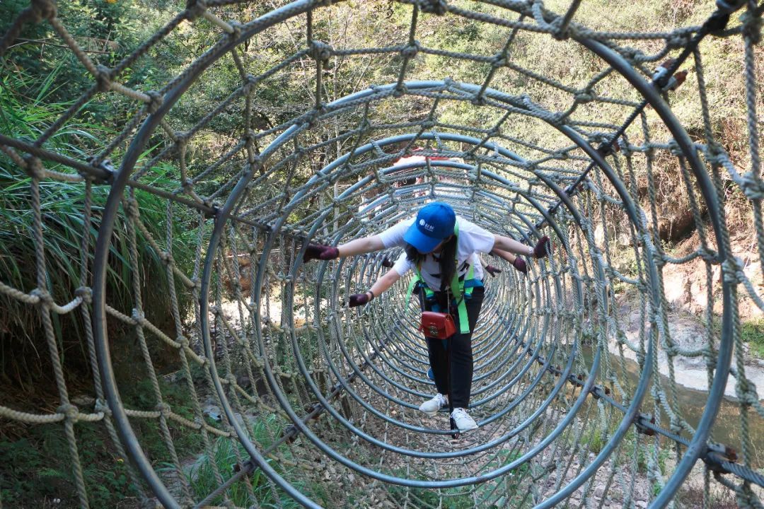 BOBty综合体育·(BOB Sport)官方网站