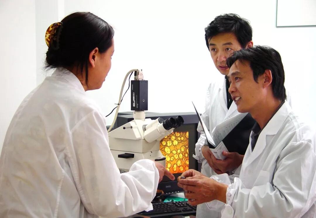 BOBty综合体育·(BOB Sport)官方网站