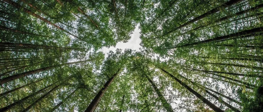 BOBty综合体育·(BOB Sport)官方网站