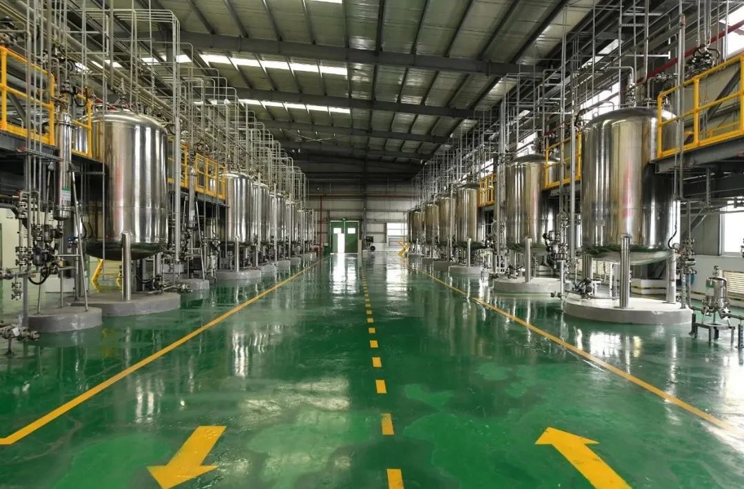 BOBty综合体育·(BOB Sport)官方网站