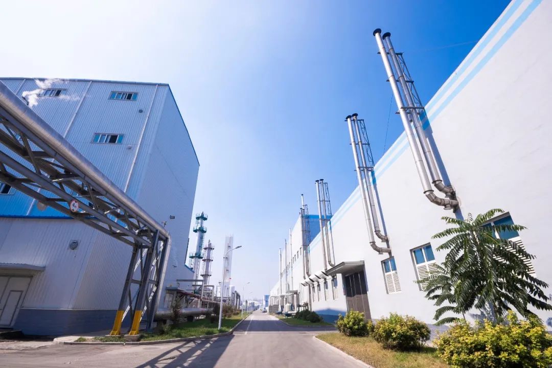 BOBty综合体育·(BOB Sport)官方网站