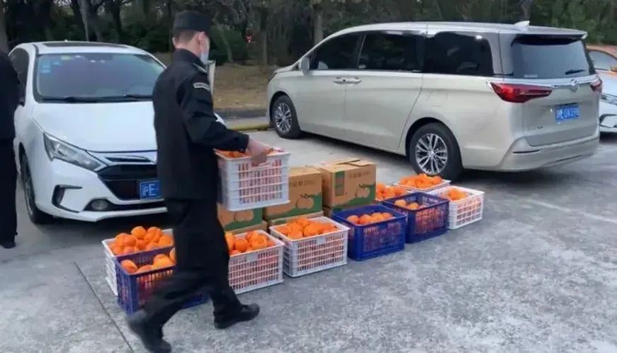 BOBty综合体育·(BOB Sport)官方网站